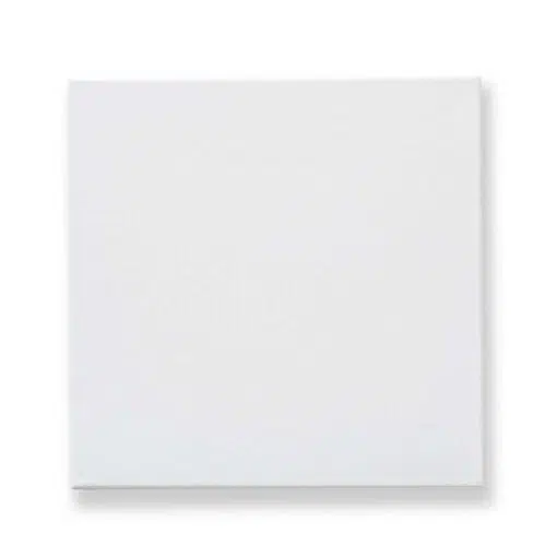 empty canvas stretch for artist