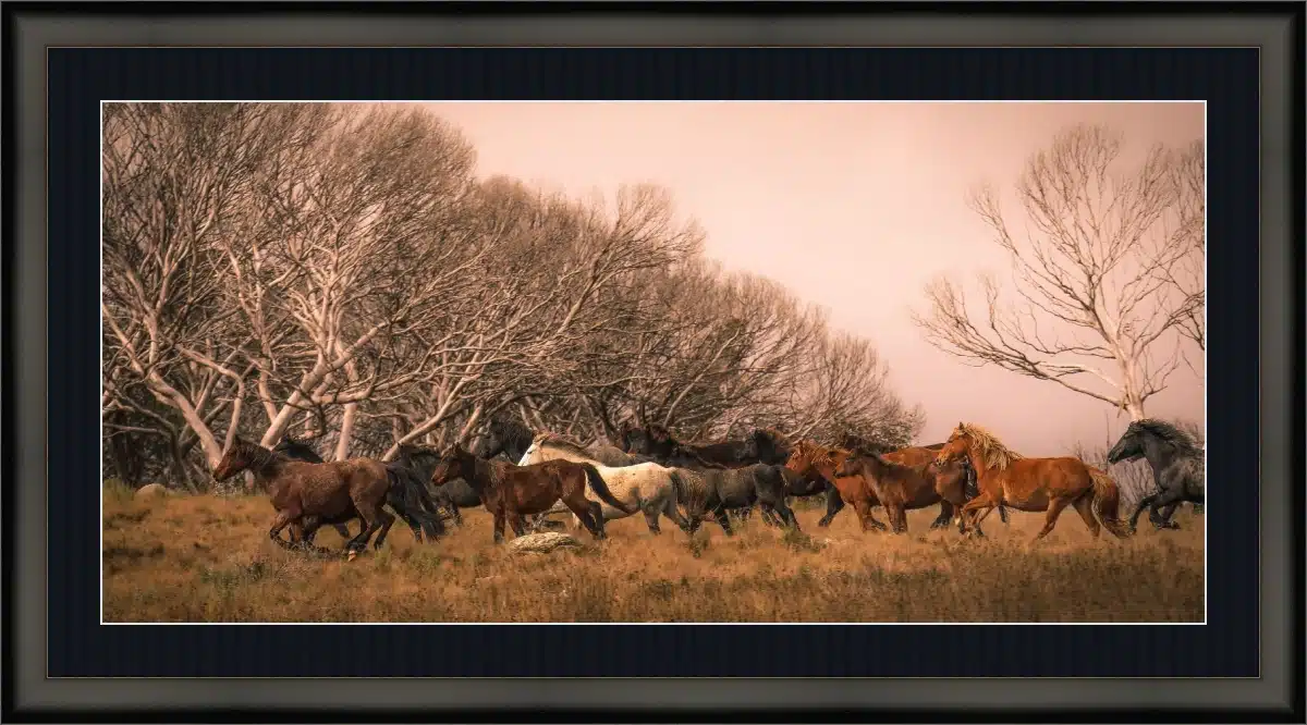 Print & Frame With Matboard & Glass