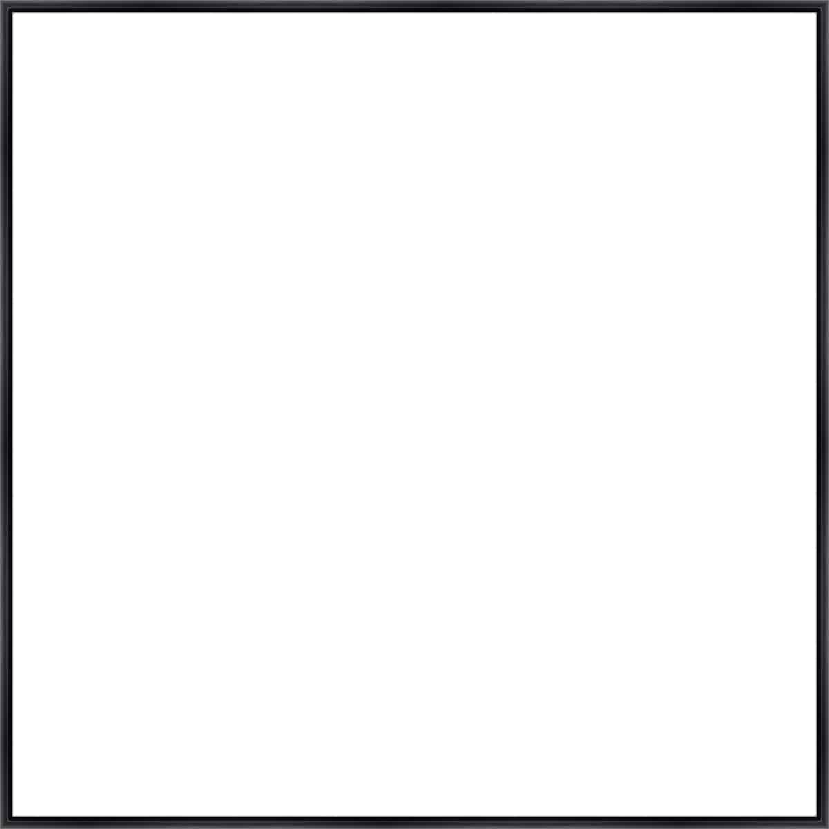 Frame Your Canvas Art