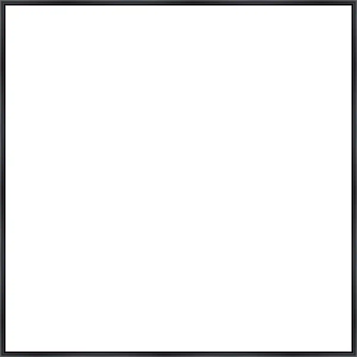 Frame Your Canvas Art