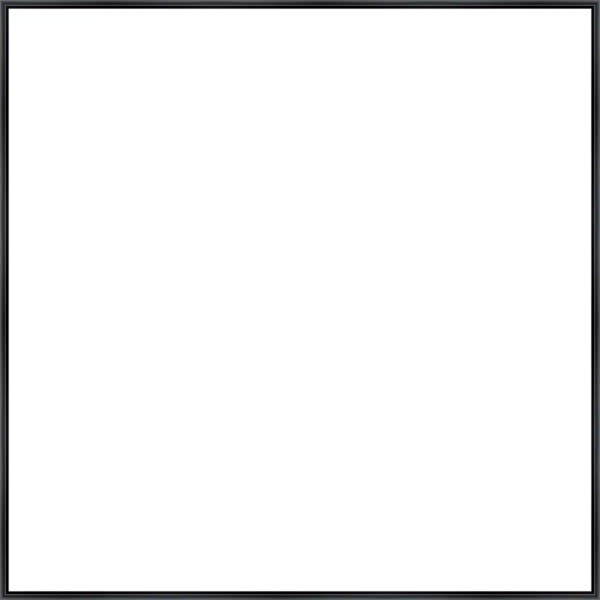 Frame Your Canvas Art