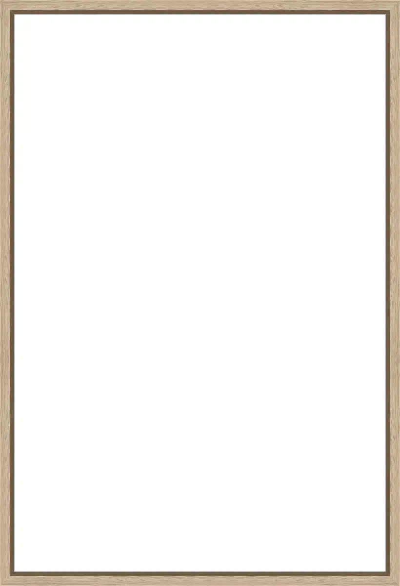 Frame Your Canvas Art