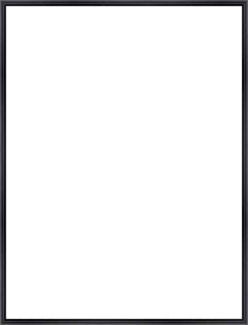 Frame Your Canvas Art