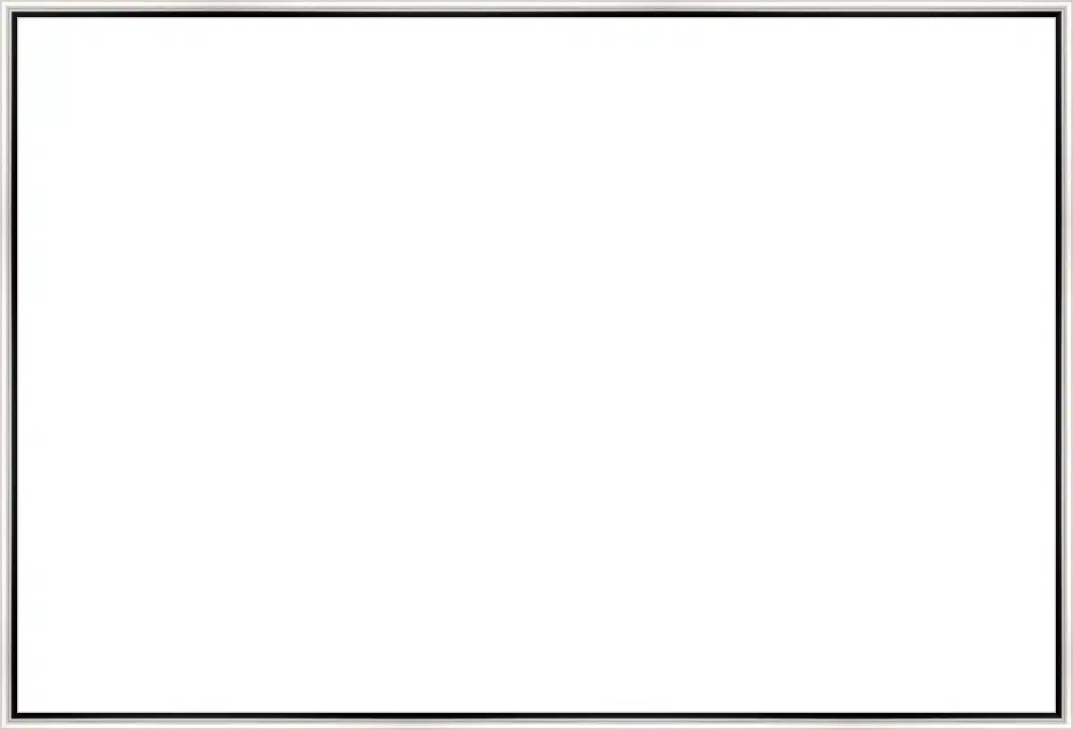 Frame Your Canvas Art