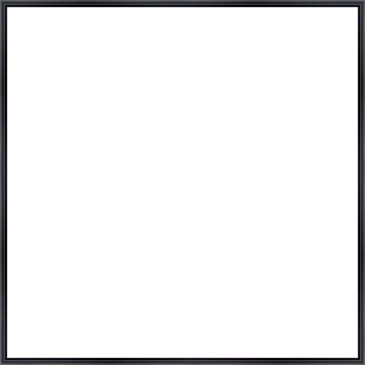 Frame Your Canvas Art