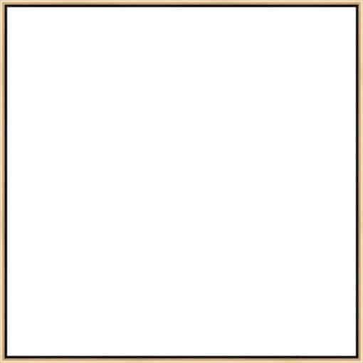 Frame Your Canvas Art