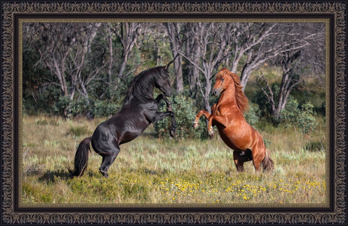 Print & Frame With Matboard & Glass