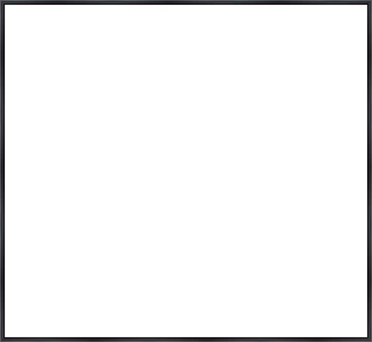 Frame Your Canvas Art