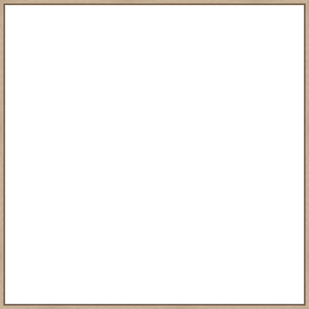 Frame Your Canvas Art