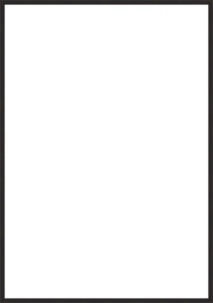 Frame Your Canvas Art