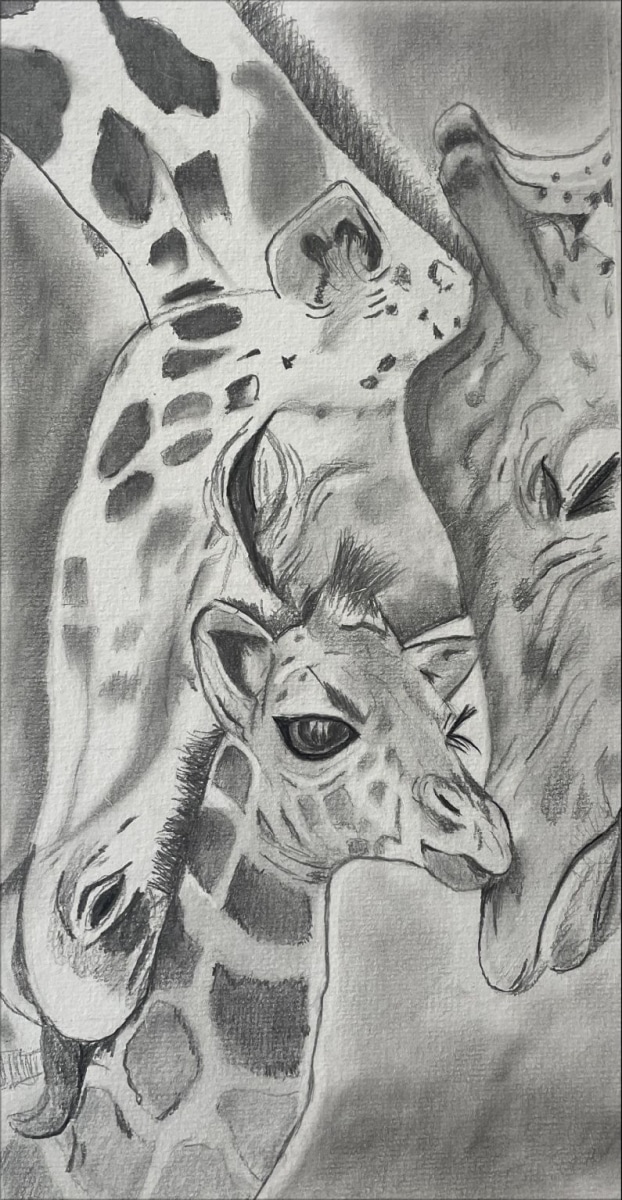 Canvas Print & Stretch