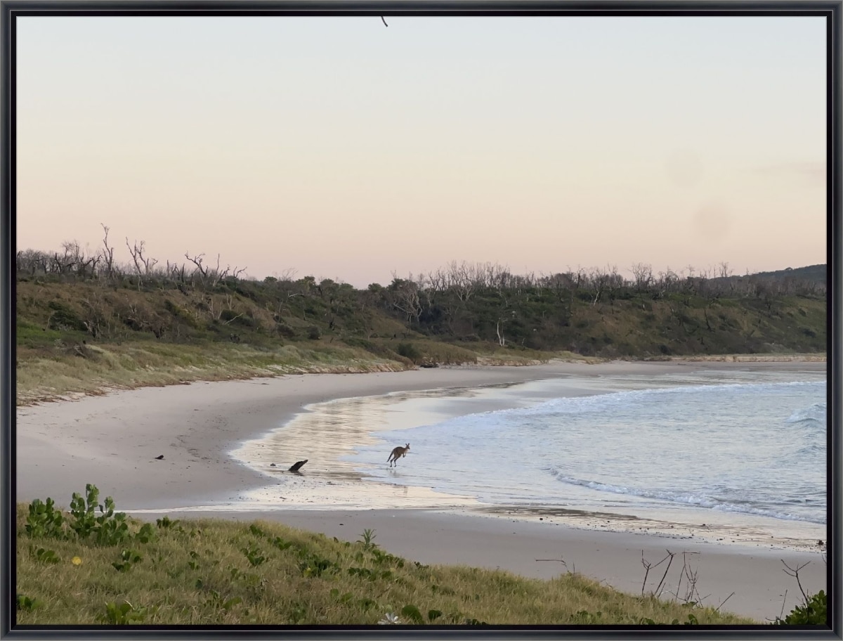 Canvas Print & Frame