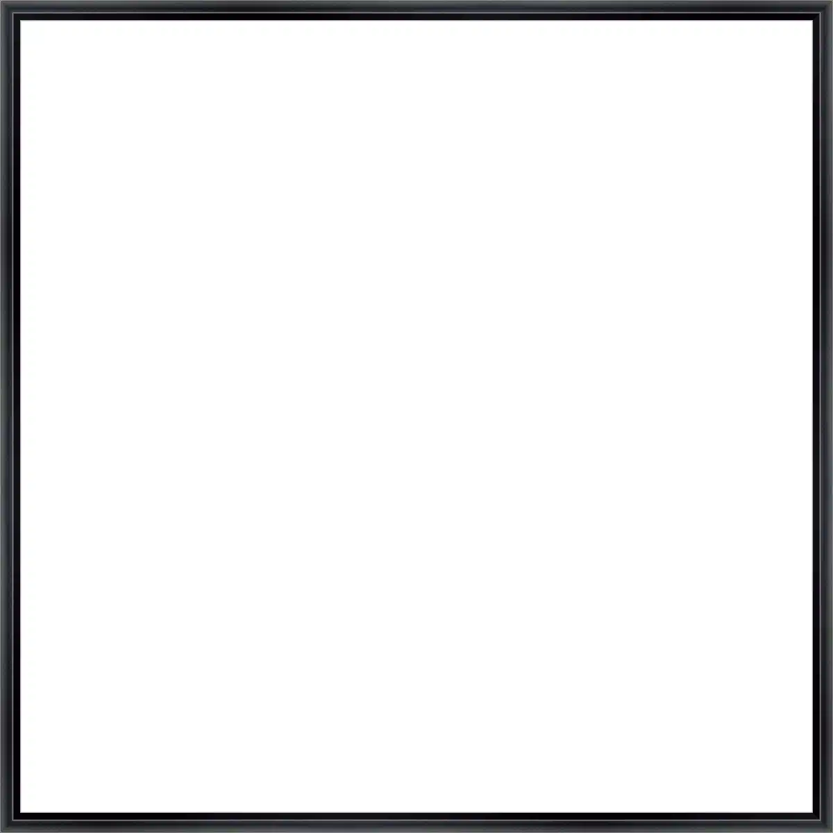 Frame Your Canvas Art
