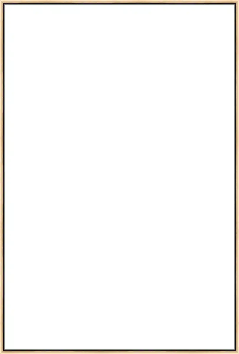 Frame Your Canvas Art
