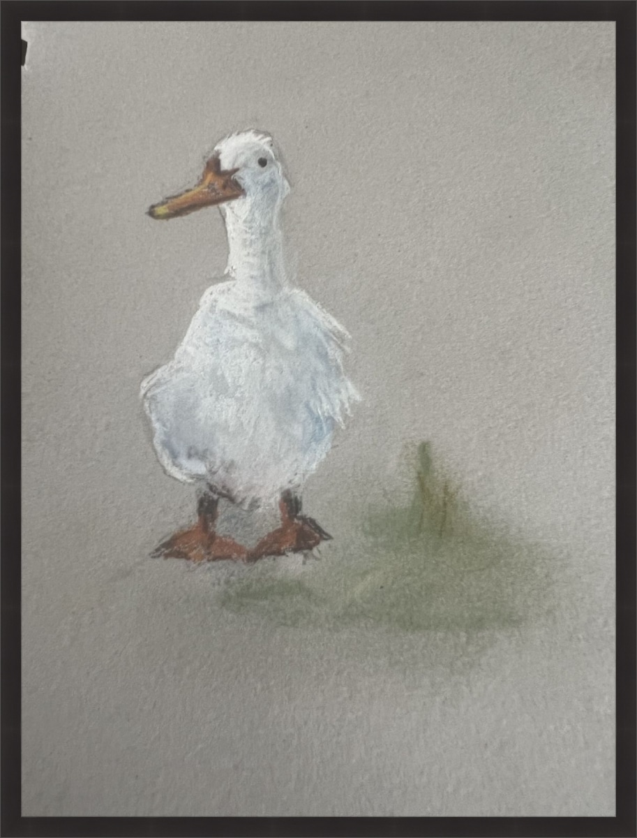 Frame your paper art