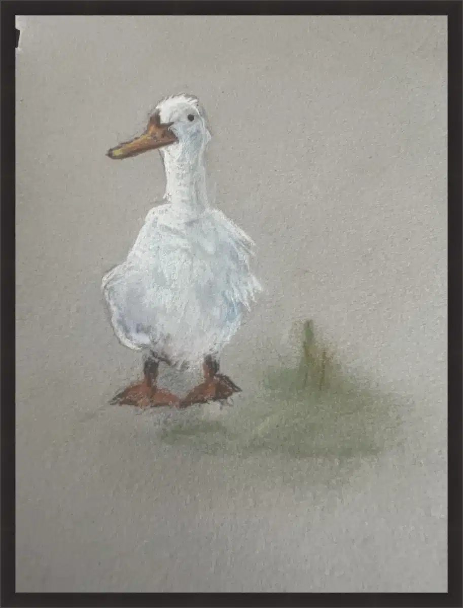 Frame your paper art