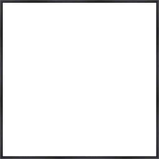 Frame Your Canvas Art