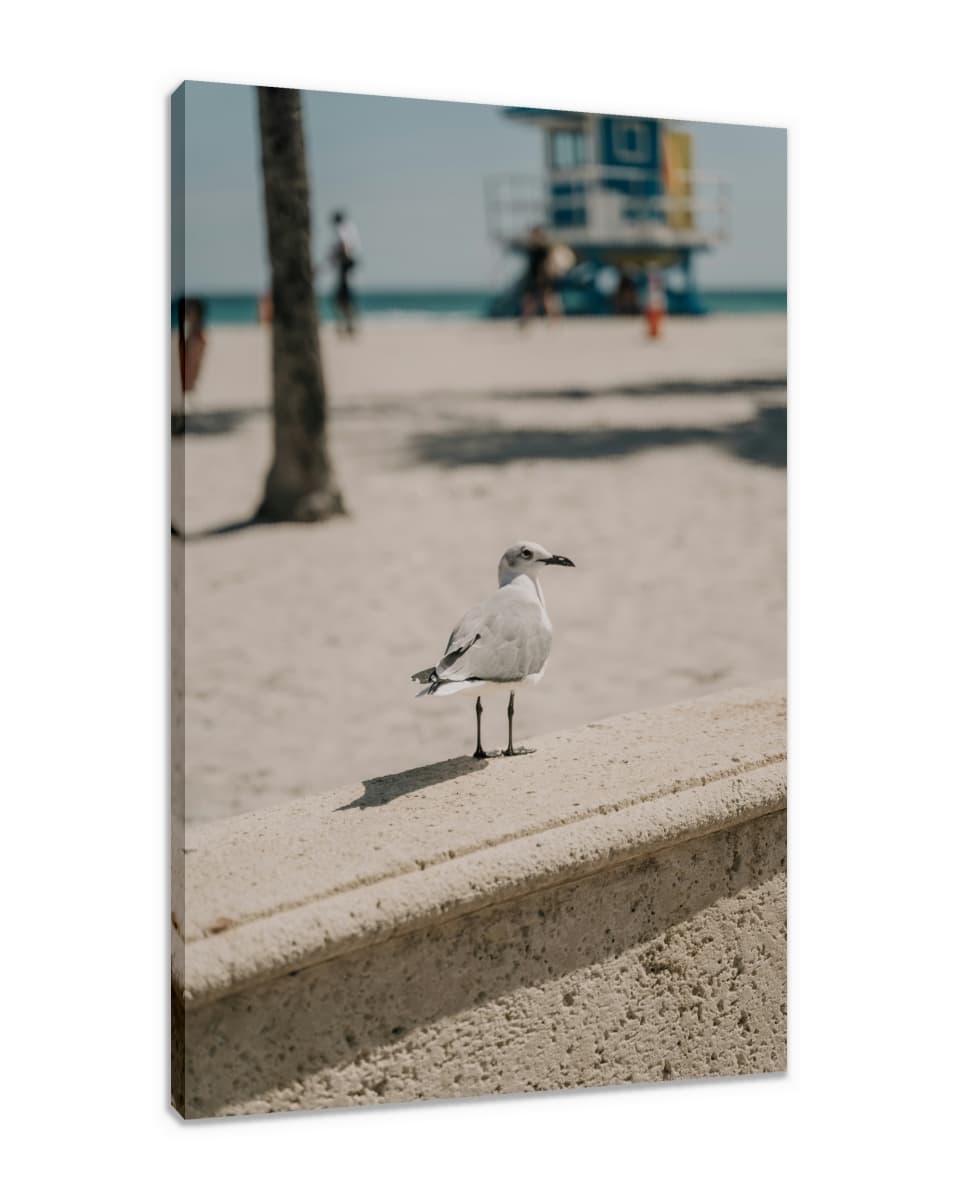 Canvas Print & Stretch