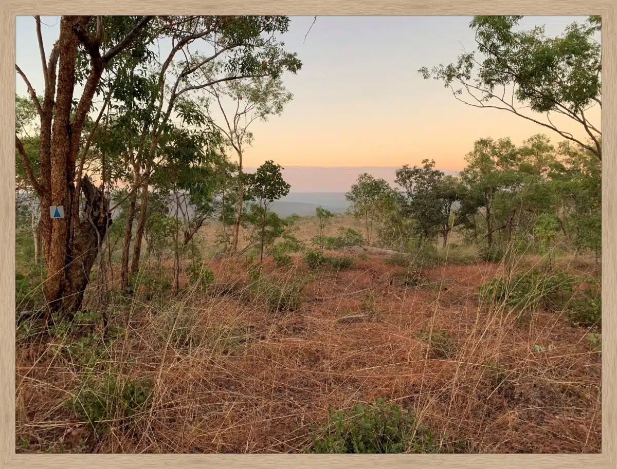 Print & Frame With Matboard & Glass