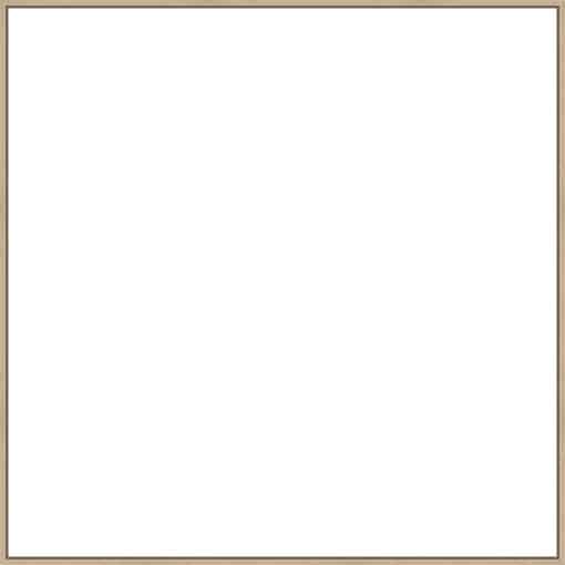 Frame Your Canvas Art