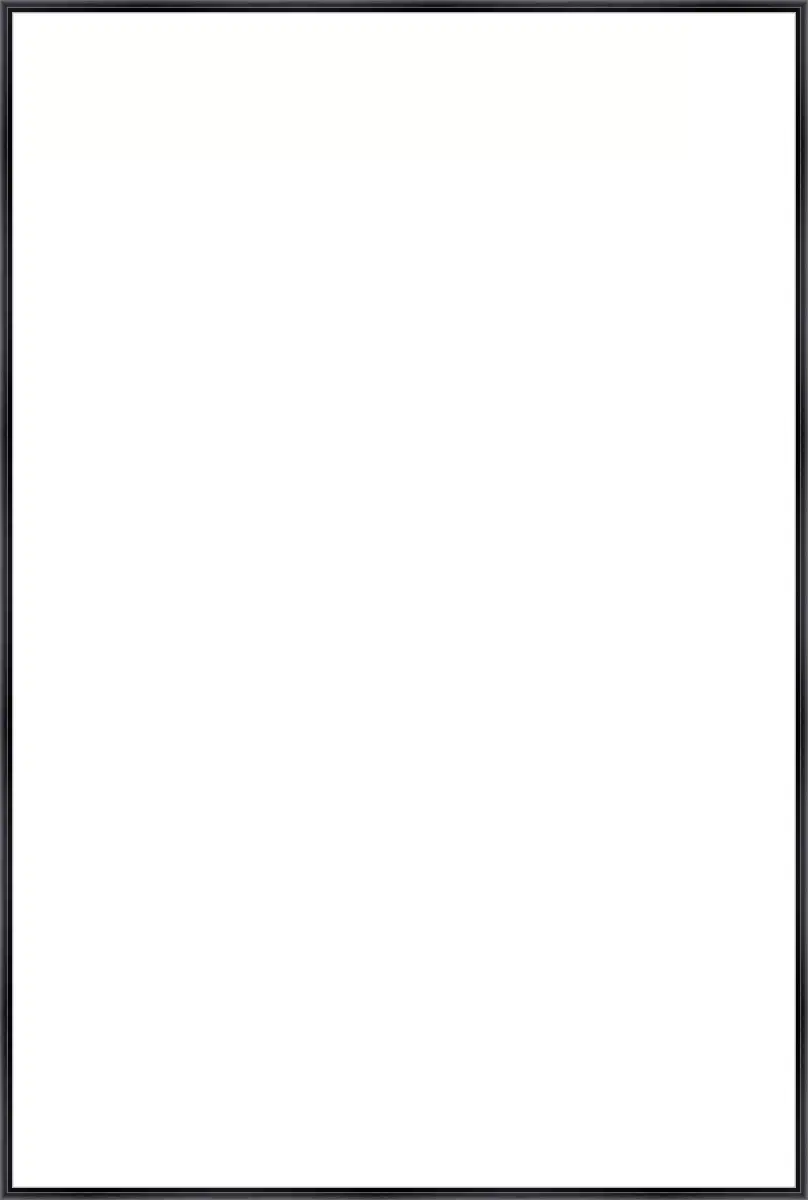 Frame Your Canvas Art