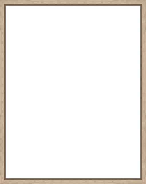Frame Your Canvas Art