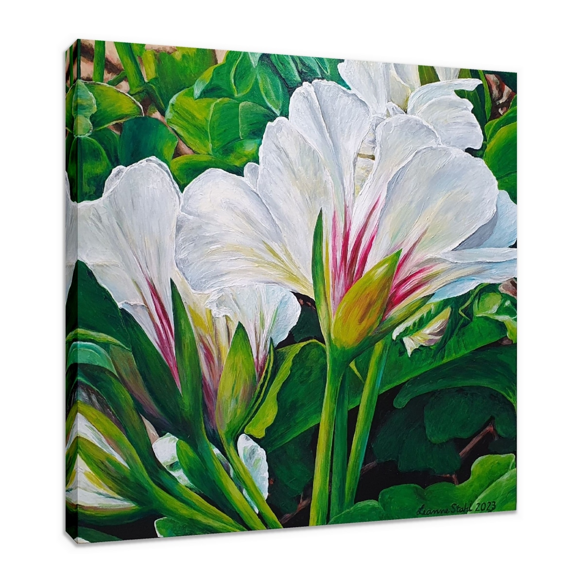 Canvas Print & Stretch