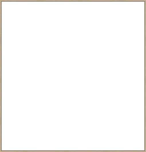Frame Your Canvas Art