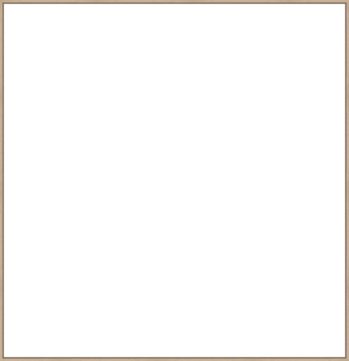 Frame Your Canvas Art