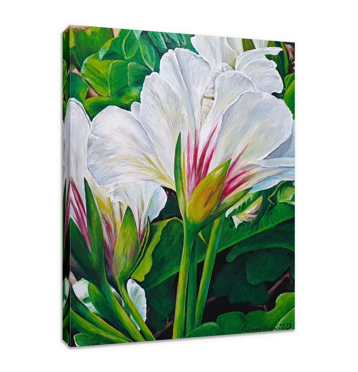 Canvas Print & Stretch