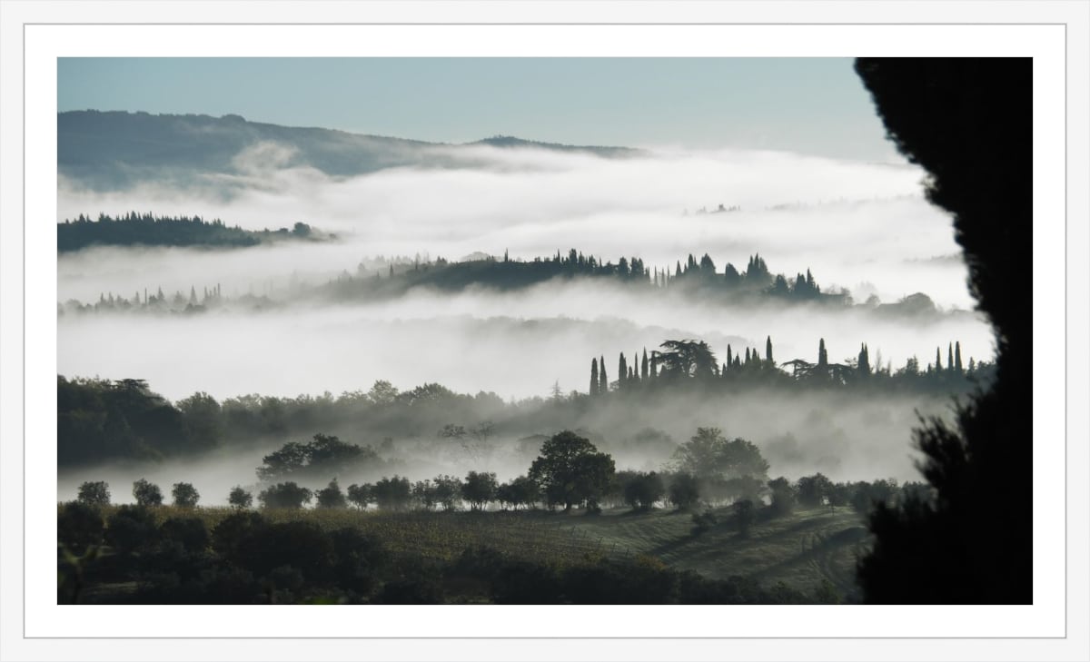 Print & Frame With Matboard & Glass