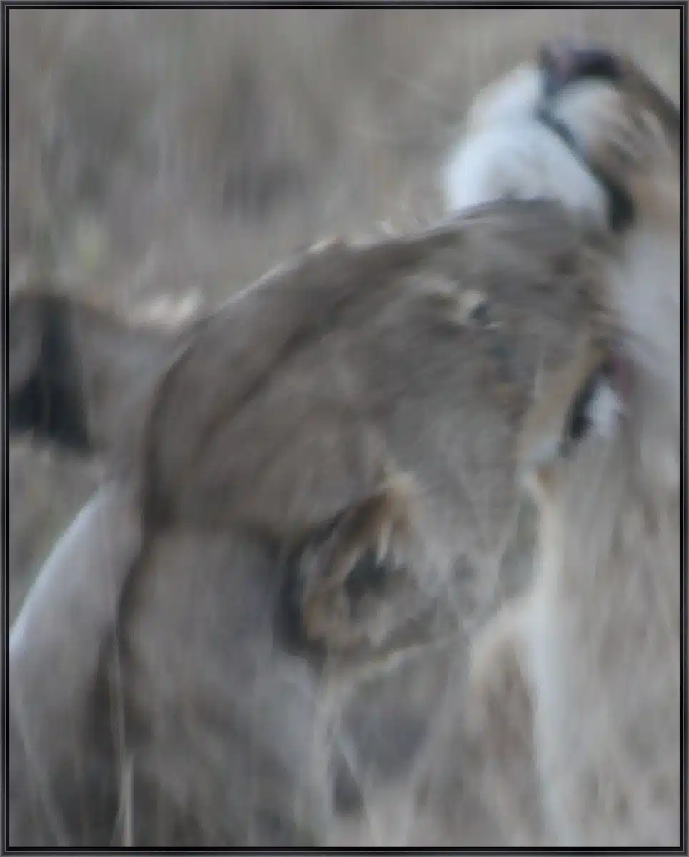 Frame Your Canvas Art