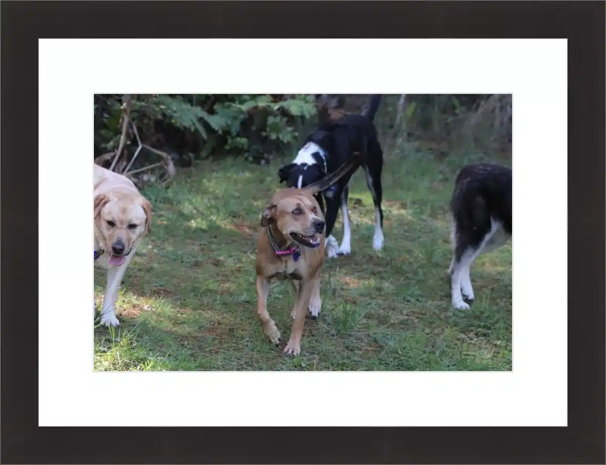 Frame your paper art