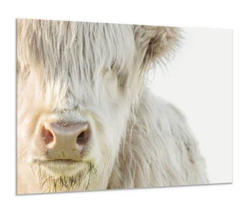 Canvas Print & Stretch