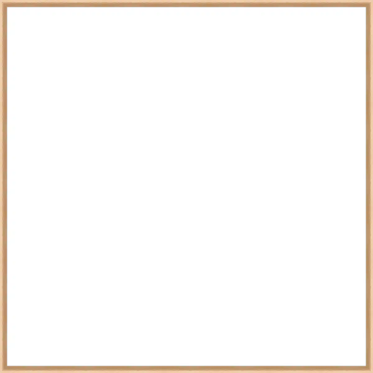 Frame Your Canvas Art