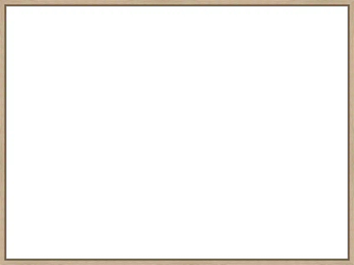 Frame Your Canvas Art