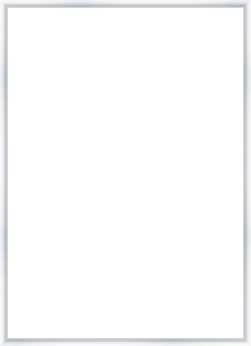 Frame Your Canvas Art