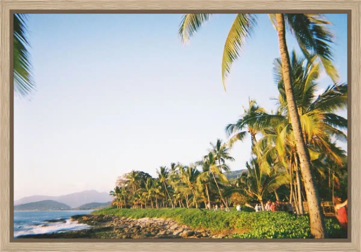 Canvas Print & Frame