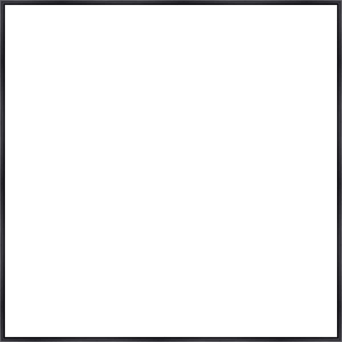 Frame Your Canvas Art