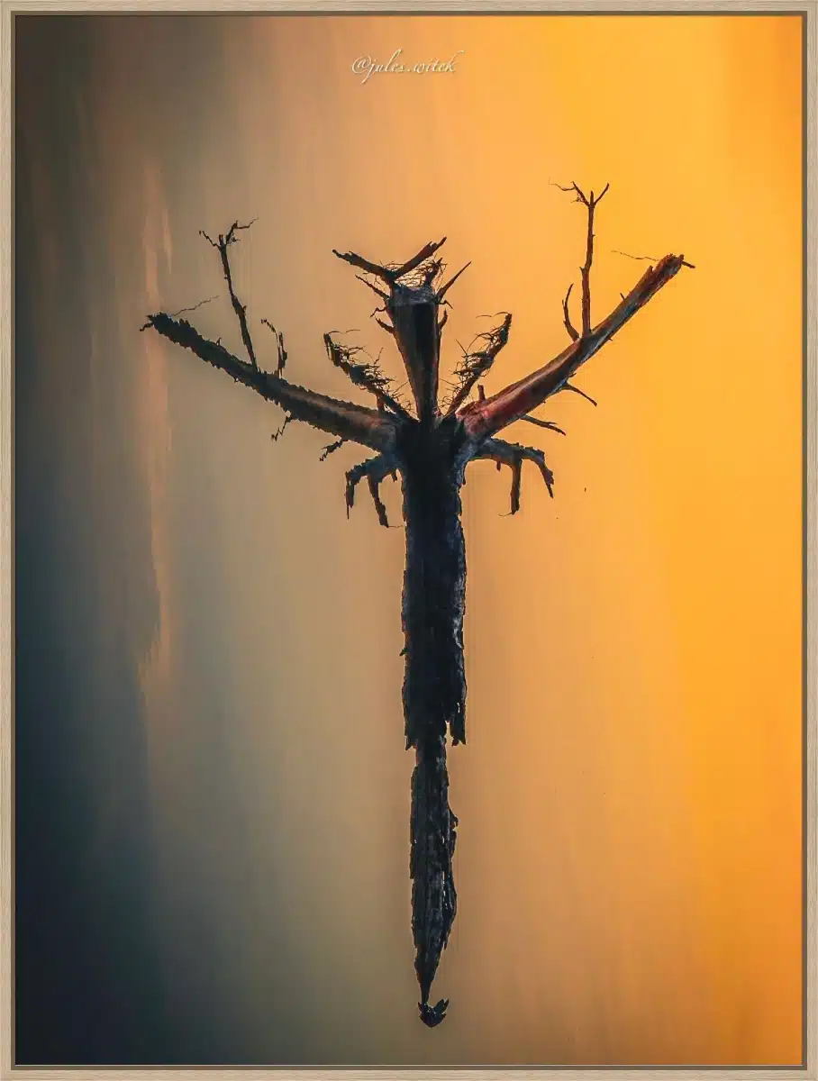 Canvas Print & Frame