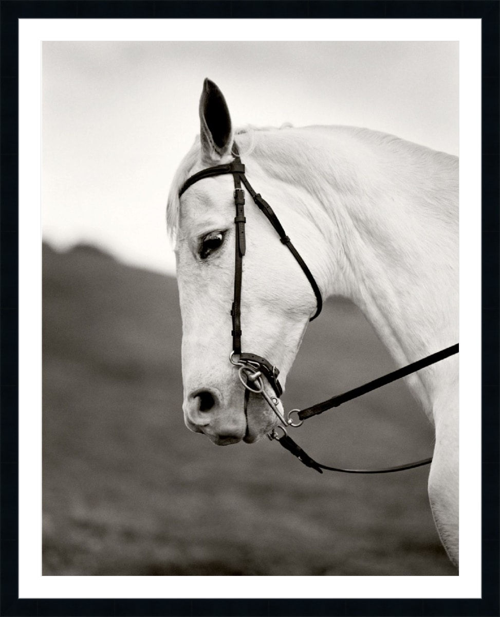 Print & Frame With Matboard & Glass