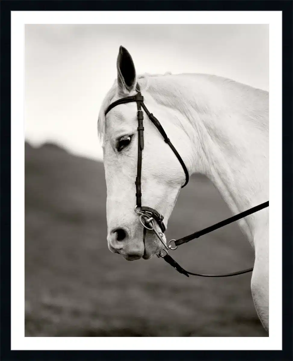 Print & Frame With Matboard & Glass