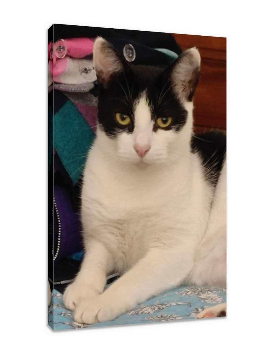 Canvas Print & Stretch