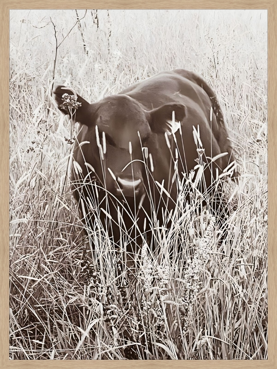 Print & Frame With Matboard & Glass