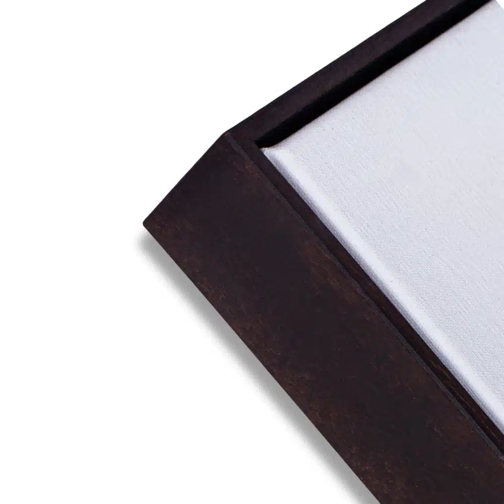 Frame Sample - Image 12