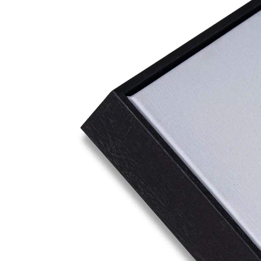 Frame Sample - Image 11