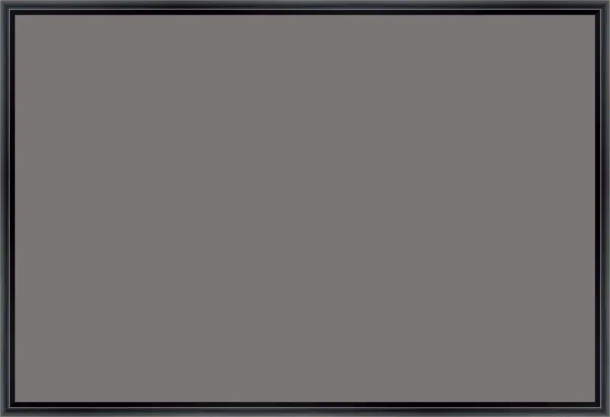 Canvas Print & Frame