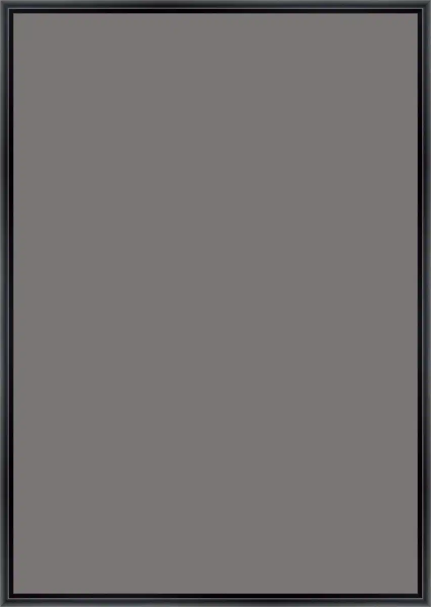 Frame Your Canvas Art