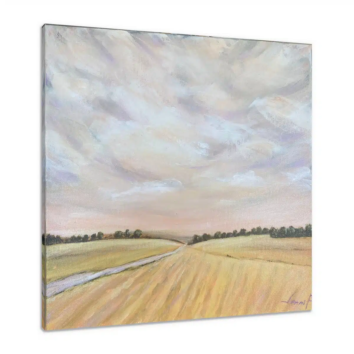 Canvas Print & Stretch