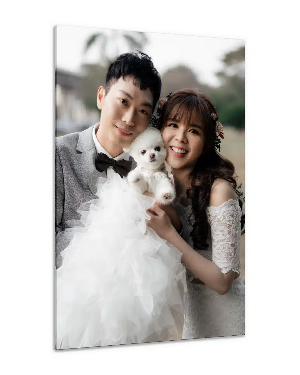 Canvas Print & Stretch